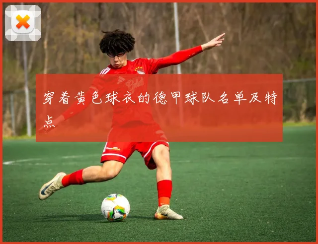 穿着黄色球衣的德甲球队名单及特点
