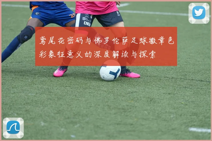 鸢尾花密码与佛罗伦萨足球徽章色彩象征意义的深度解读与探索