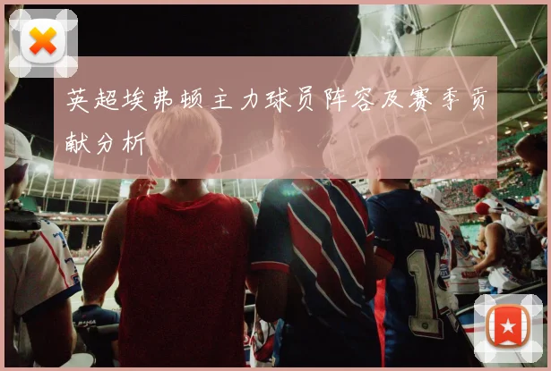 英超埃弗顿主力球员阵容及赛季贡献分析