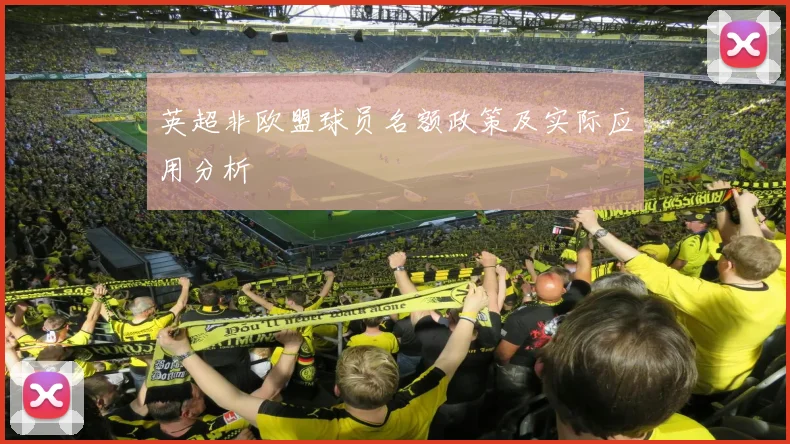 英超非欧盟球员名额政策及实际应用分析