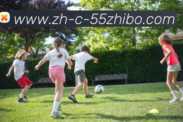 55直播平台生态图